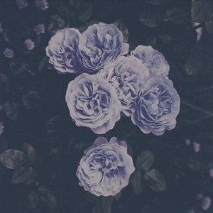 老师扒下内裤让我爽了一夜视频网站
