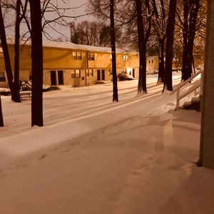 老师扒下内裤让我爽了一夜视频网站
