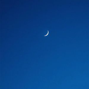 老师扒下内裤让我爽了一夜视频网站
