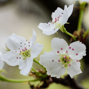 老师扒下内裤让我爽了一夜视频网站
