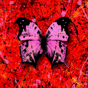 老师扒下内裤让我爽了一夜视频网站
